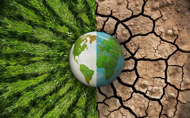 Climate Change: Evidence Speaks Louder Than Words